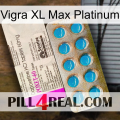 Vigra Xl Max Platinum new07